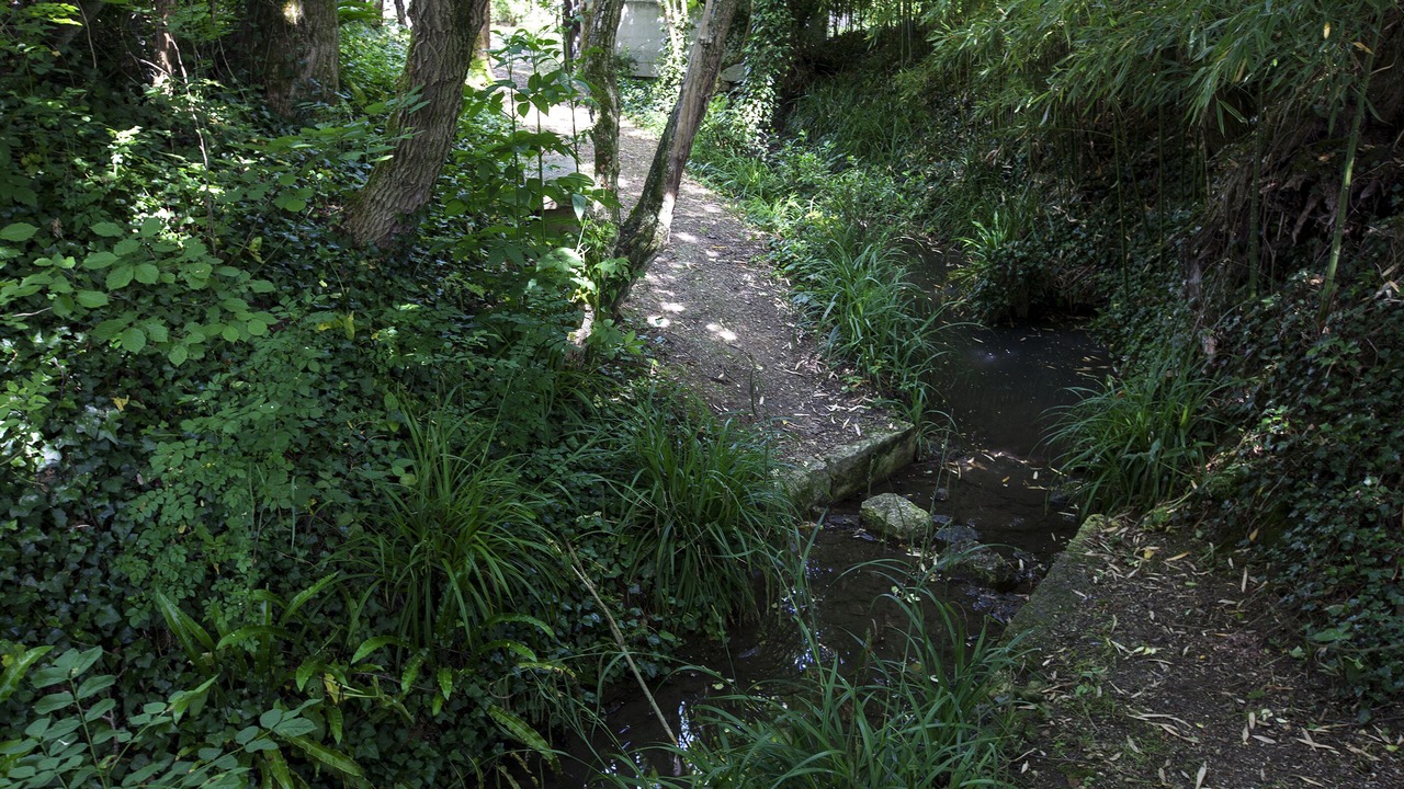 Photo of Outdoor in Pessac-sur-Dordogne