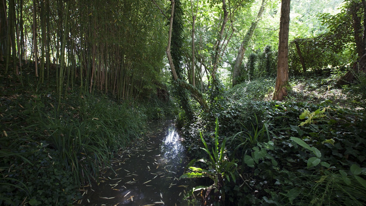 Photo of Outdoor in Pessac-sur-Dordogne