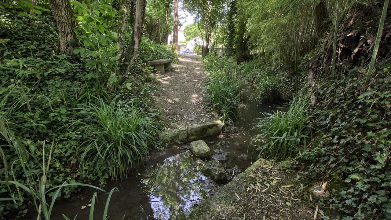 Photo of Outdoor in Pessac-sur-Dordogne