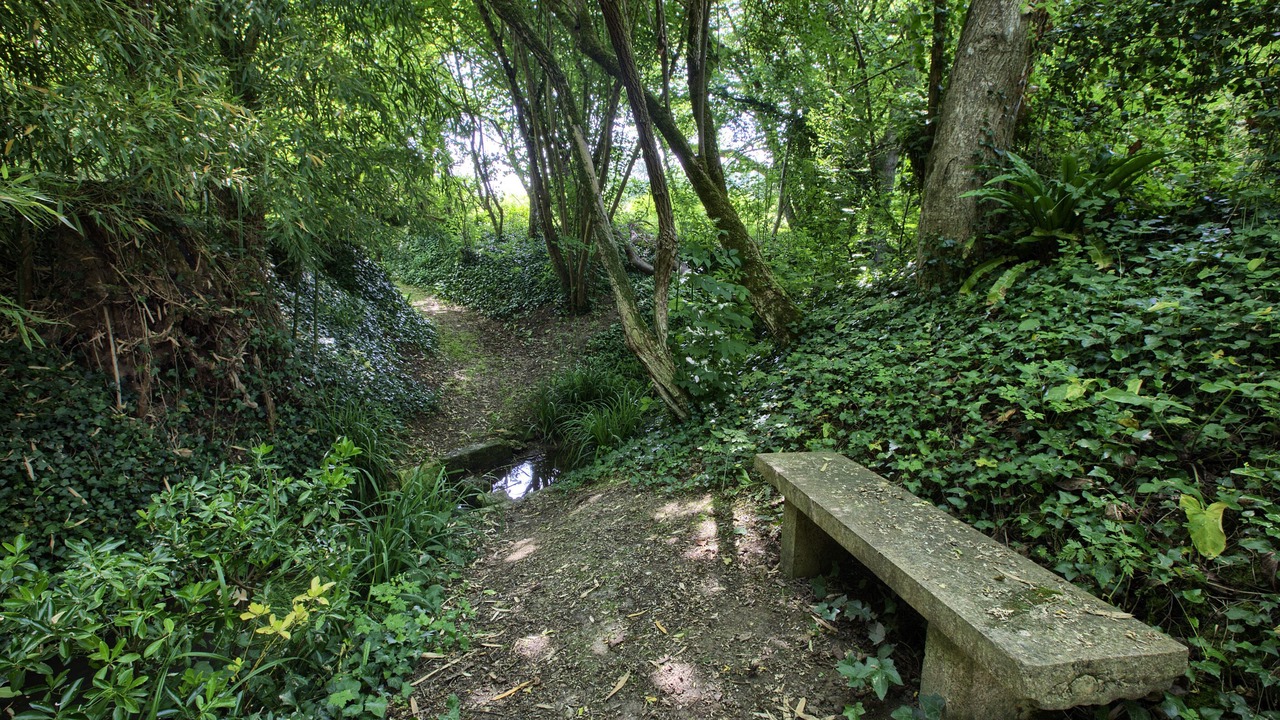 Photo of Outdoor in Pessac-sur-Dordogne