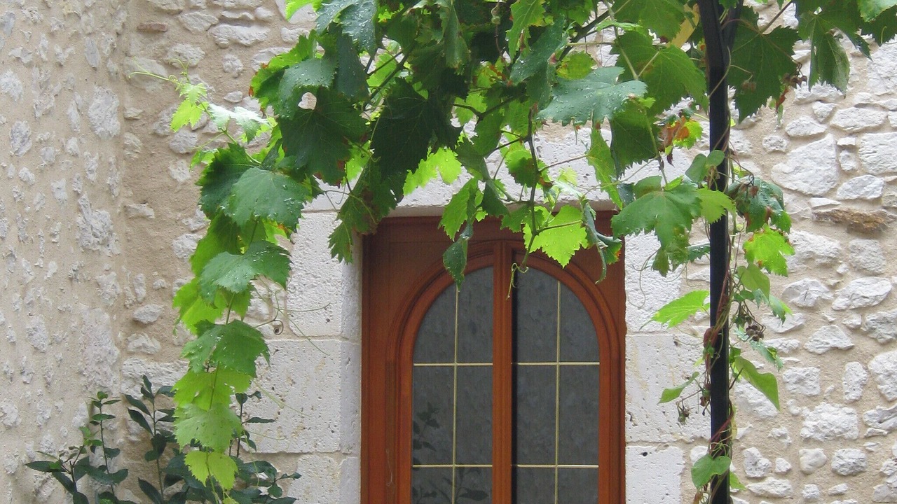 Photo of Outdoor in Pessac-sur-Dordogne