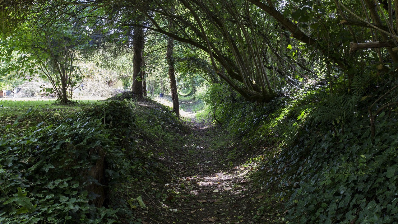 Photo of Outdoor in Pessac-sur-Dordogne