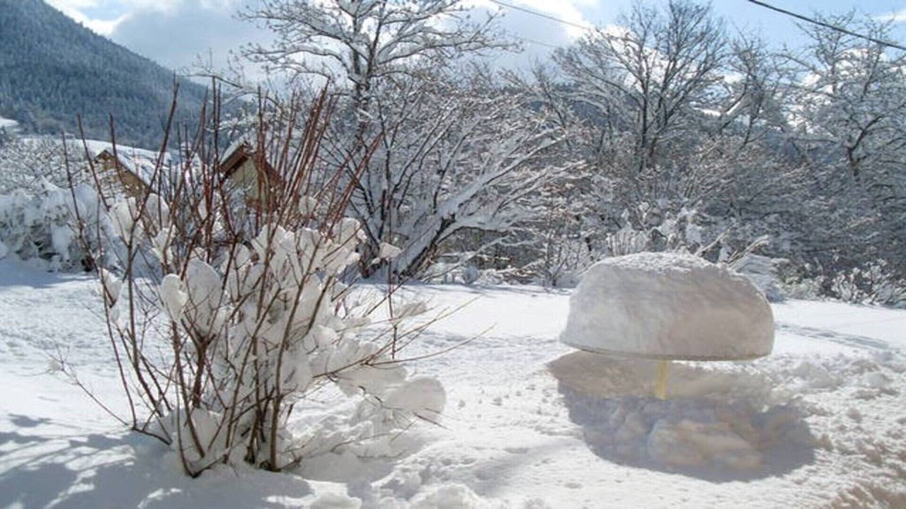 Photo of Outdoor in Sarcenas