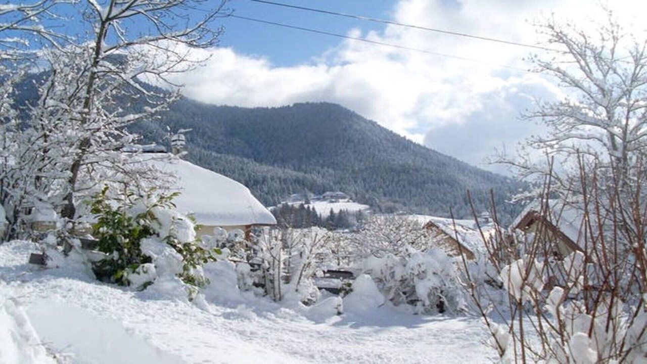 Photo of Outdoor in Sarcenas