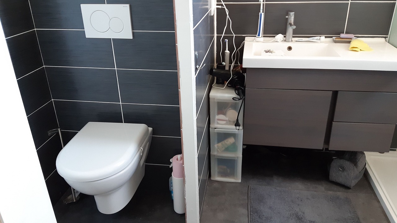 Photo of Bathroom in Lansargues