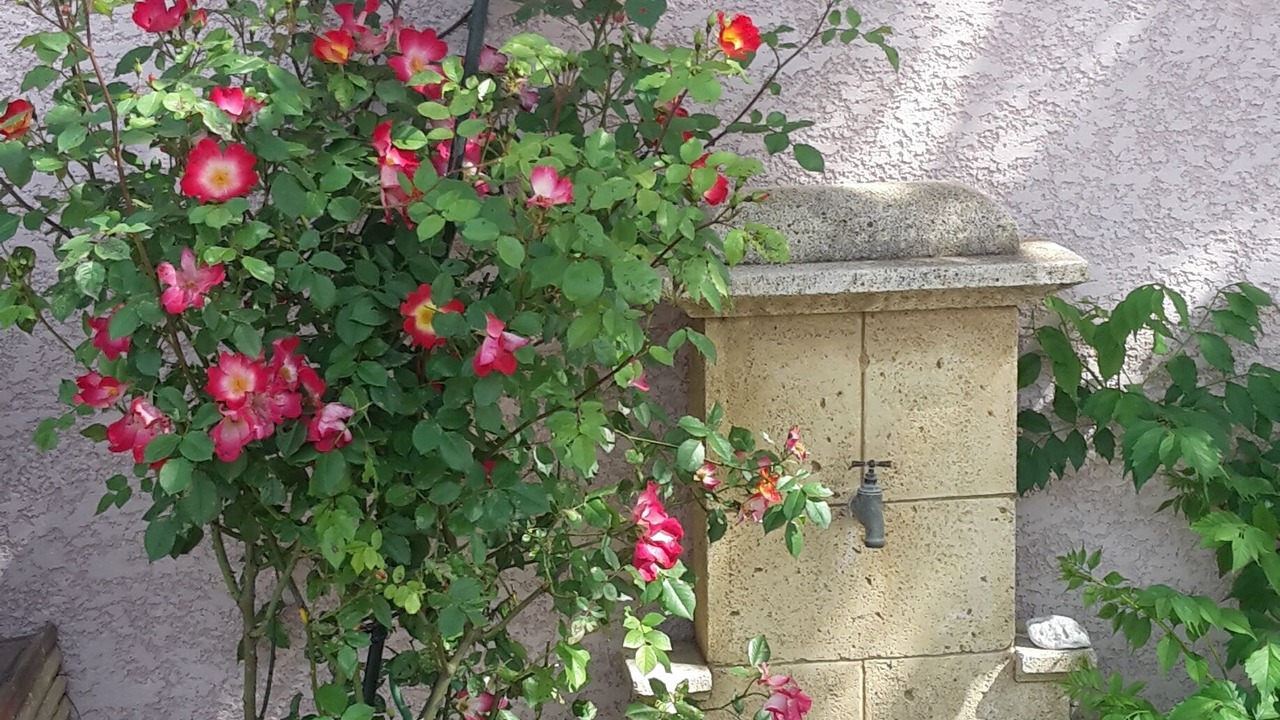 Photo of Outdoor in Gigean