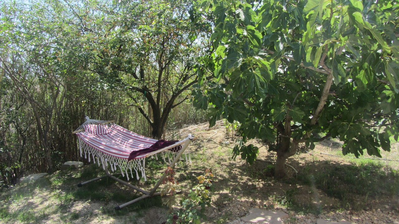 Photo of Outdoor in Gigean