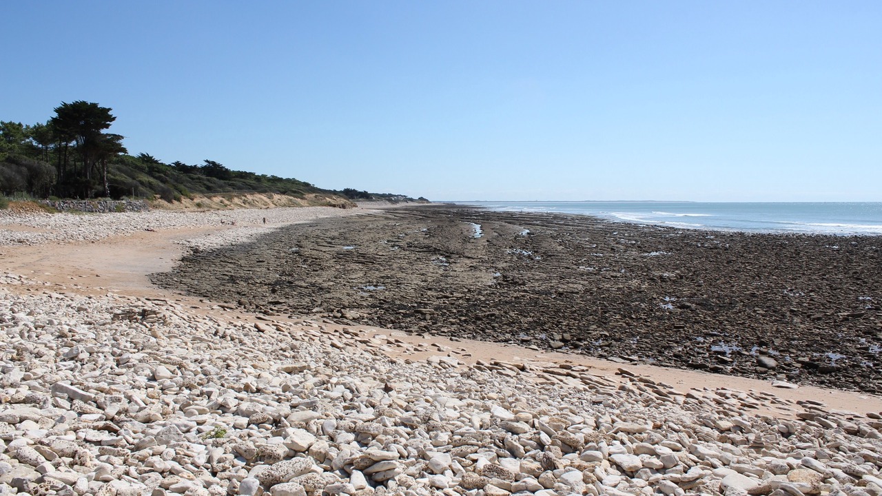 Photo of Others in Jard-sur-Mer