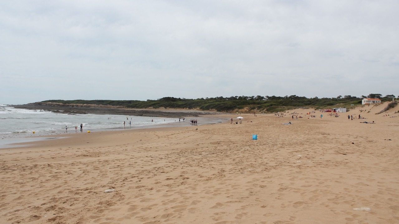 Photo of Others in Jard-sur-Mer