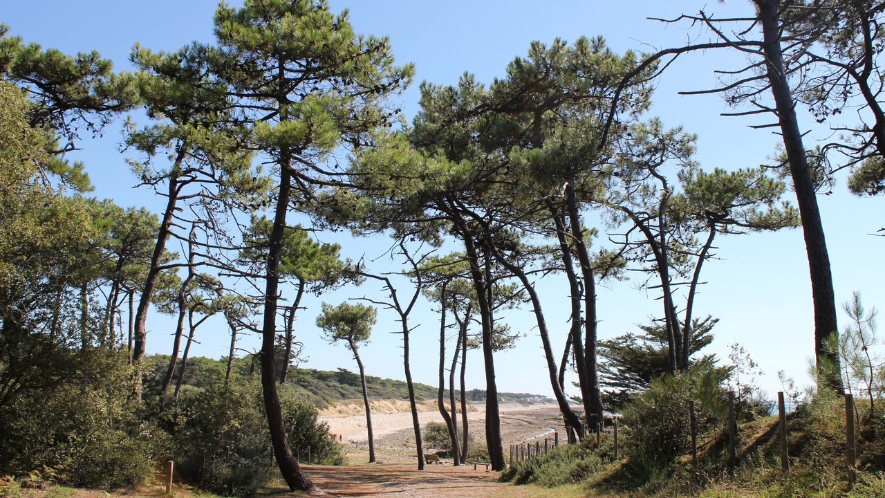Photo of Outdoor in Jard-sur-Mer