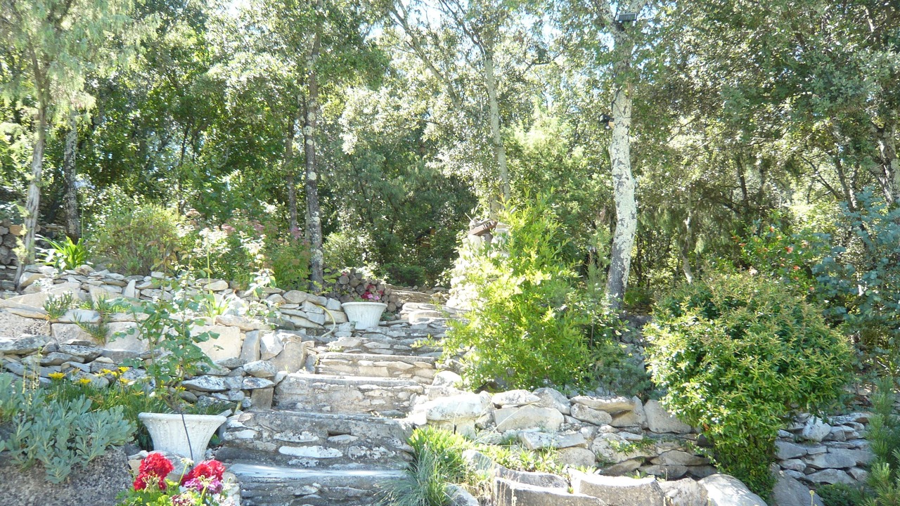 Photo of Outdoor in Sardan