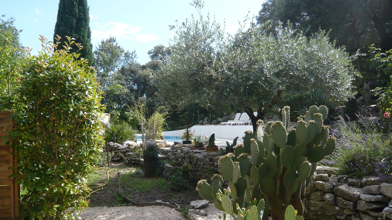 Photo of Outdoor in Sardan