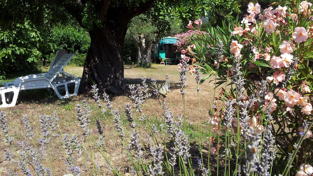 Photo of Outdoor in Plan-de-la-Tour