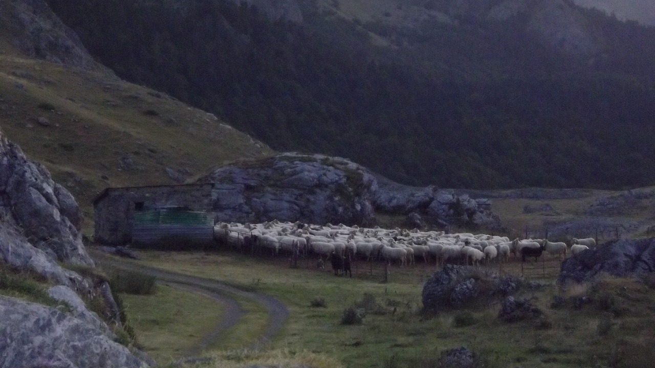 Photo of Outdoor in Aste-Beon