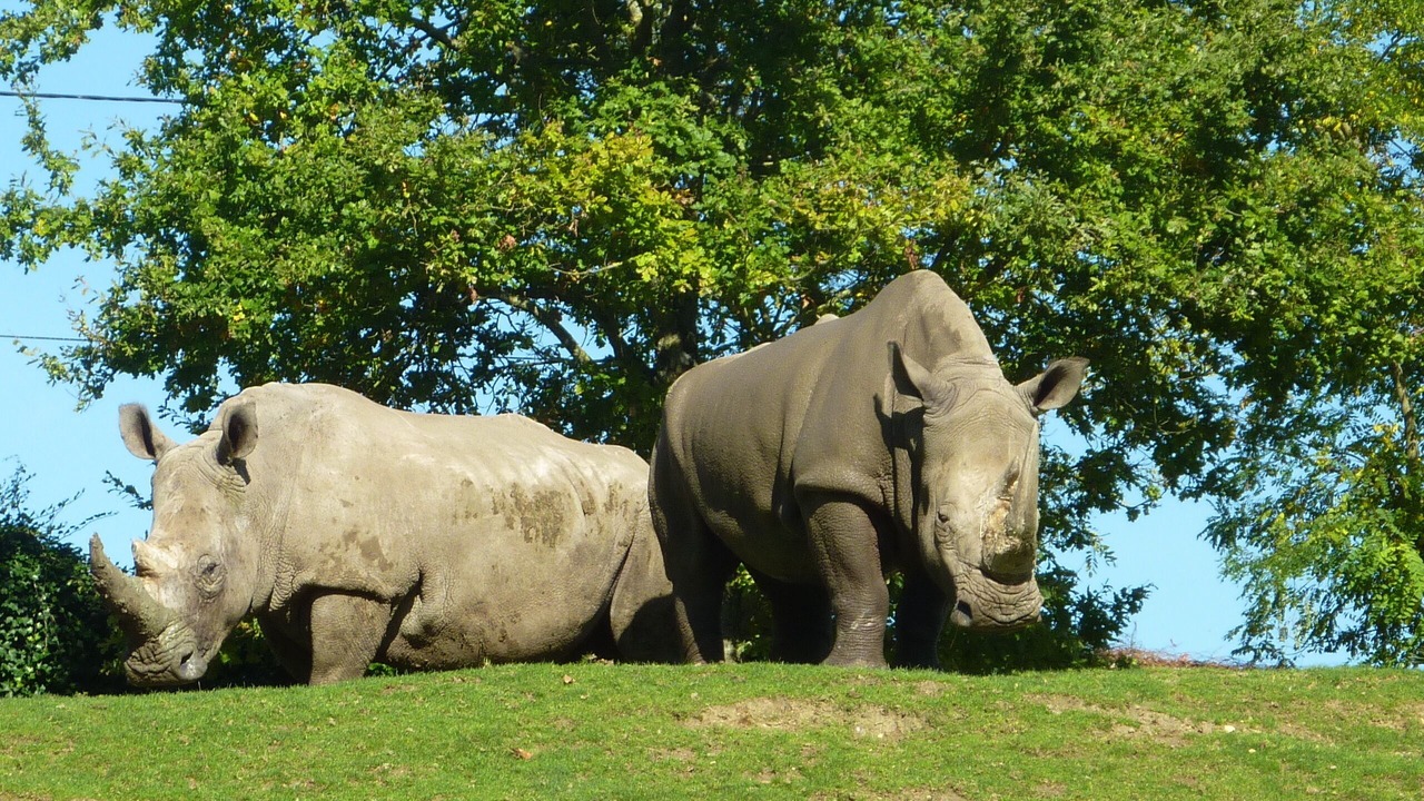 Photo of Outdoor in Chissay-en-Touraine
