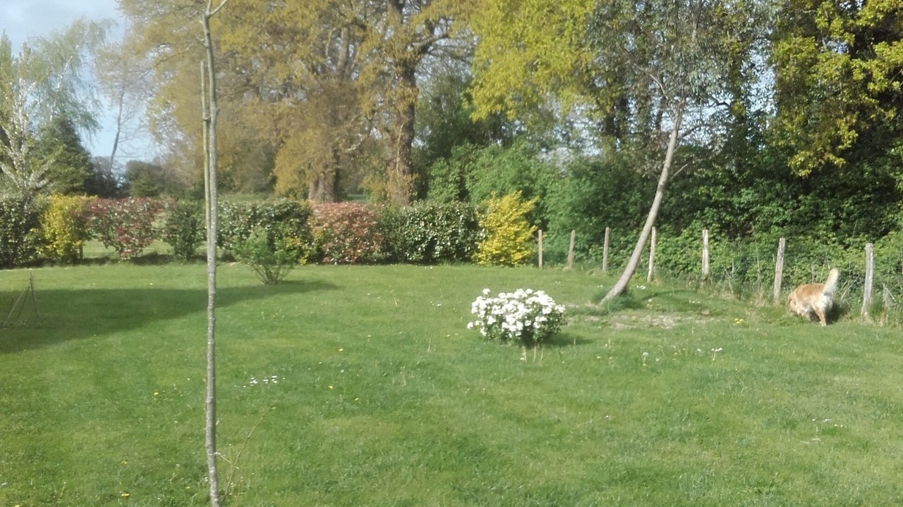 Photo of Outdoor in Baguer-Morvan
