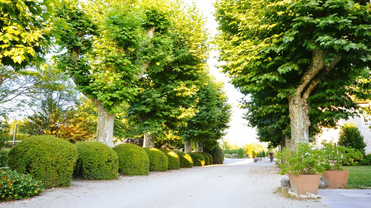 Photo of Outdoor in Les Avenieres