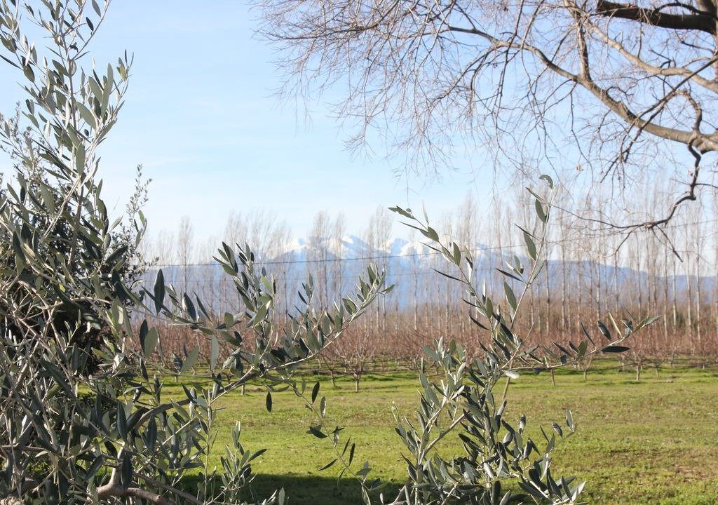 Photo of Outdoor in Palau-del-Vidre