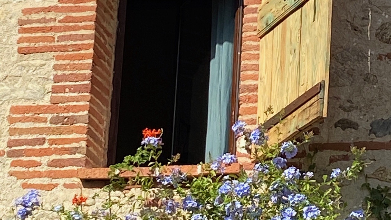 Photo of Outdoor in Palau-del-Vidre
