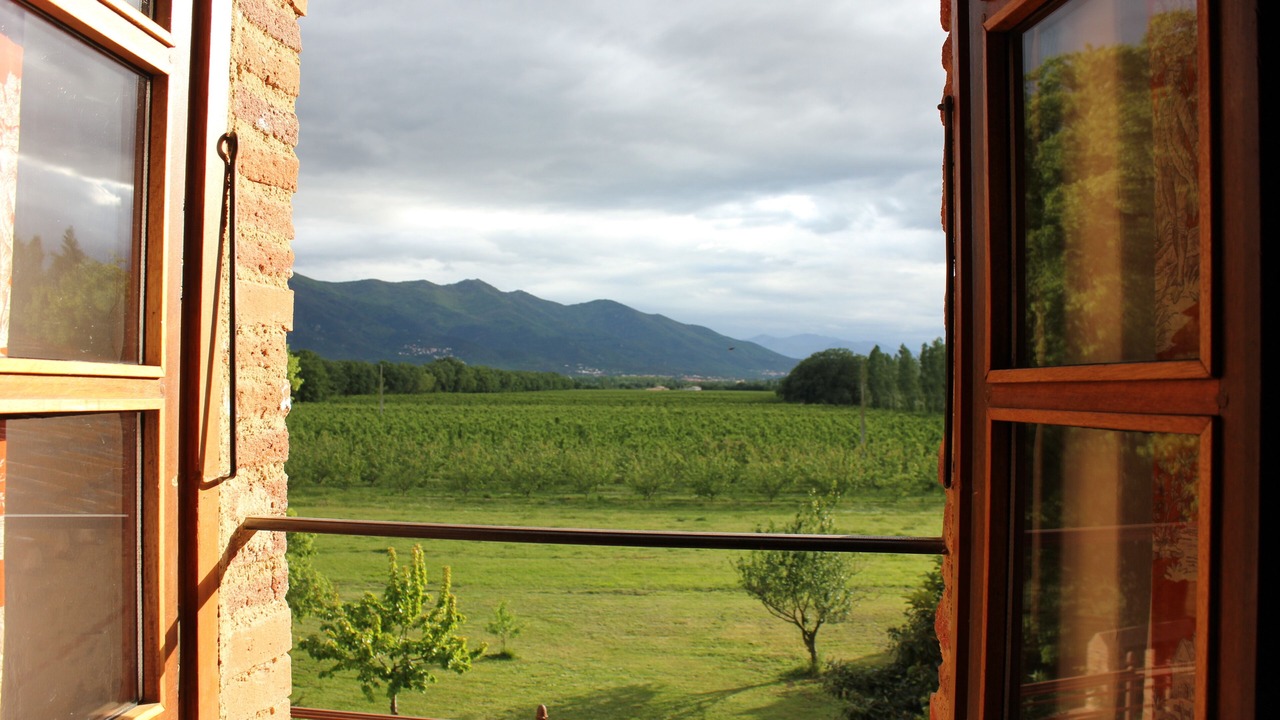 Photo of Others in Palau-del-Vidre