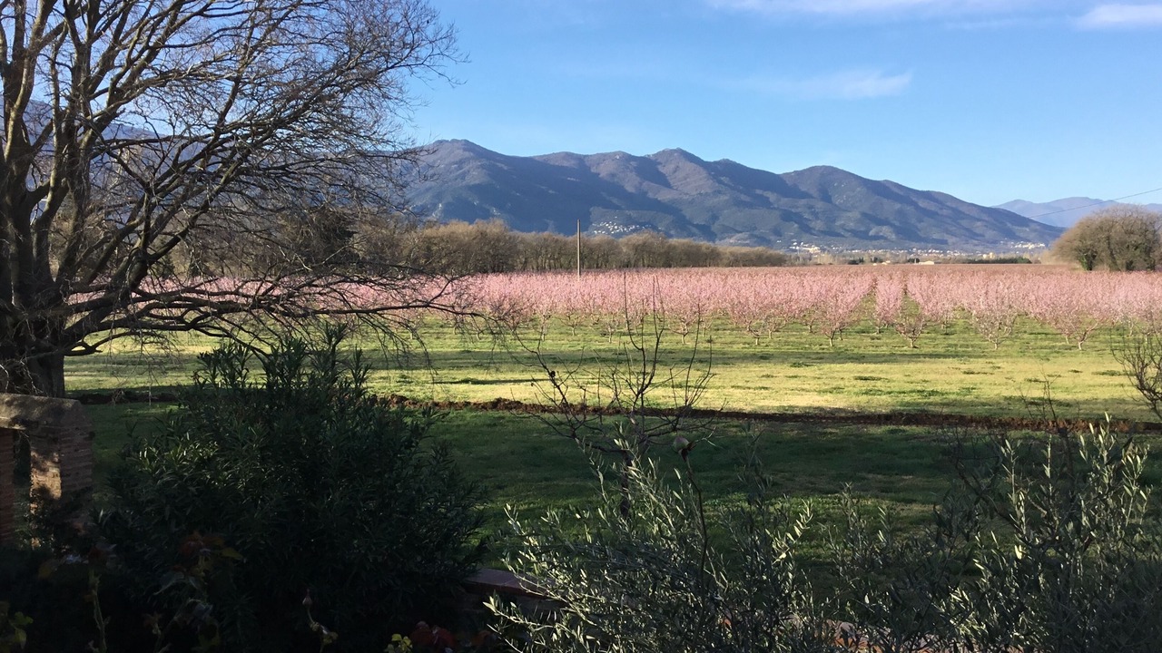Photo of Outdoor in Palau-del-Vidre