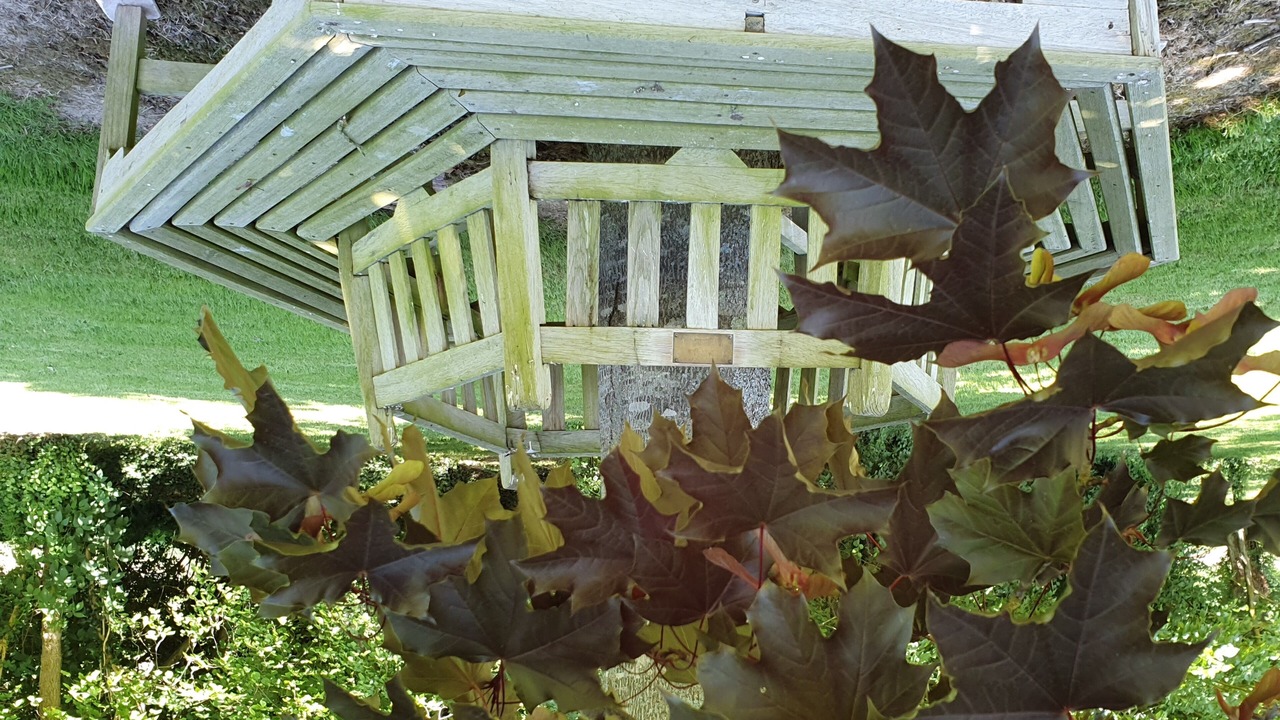 Photo of Outdoor in Saint-Simeon