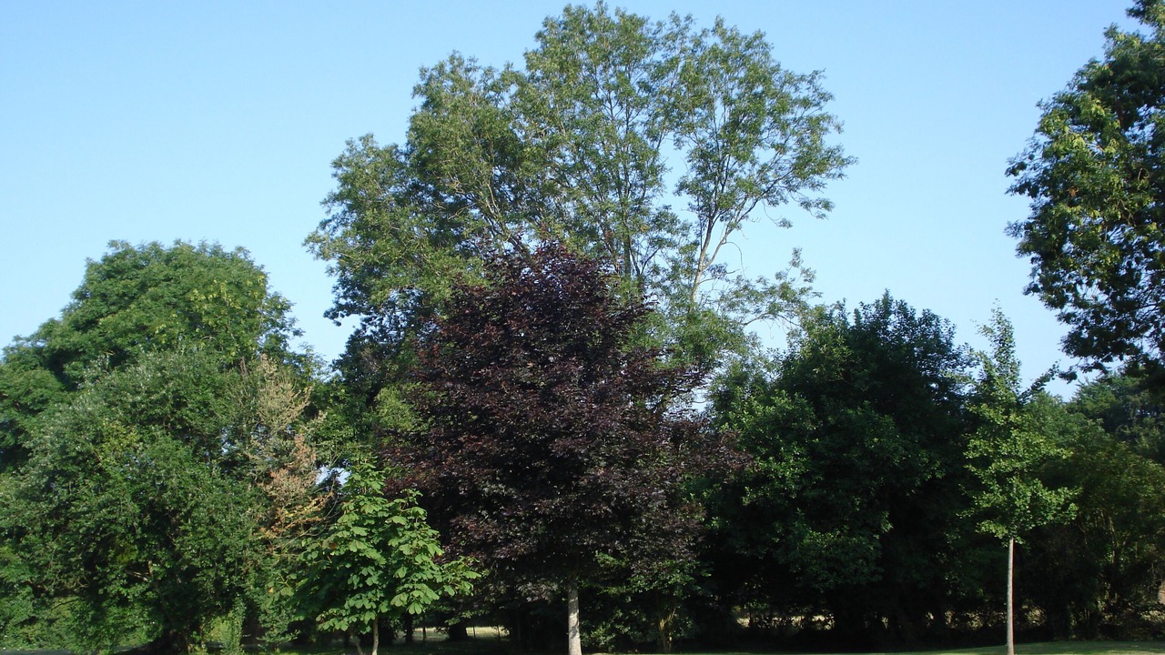 Photo of Outdoor in Saint-Simeon