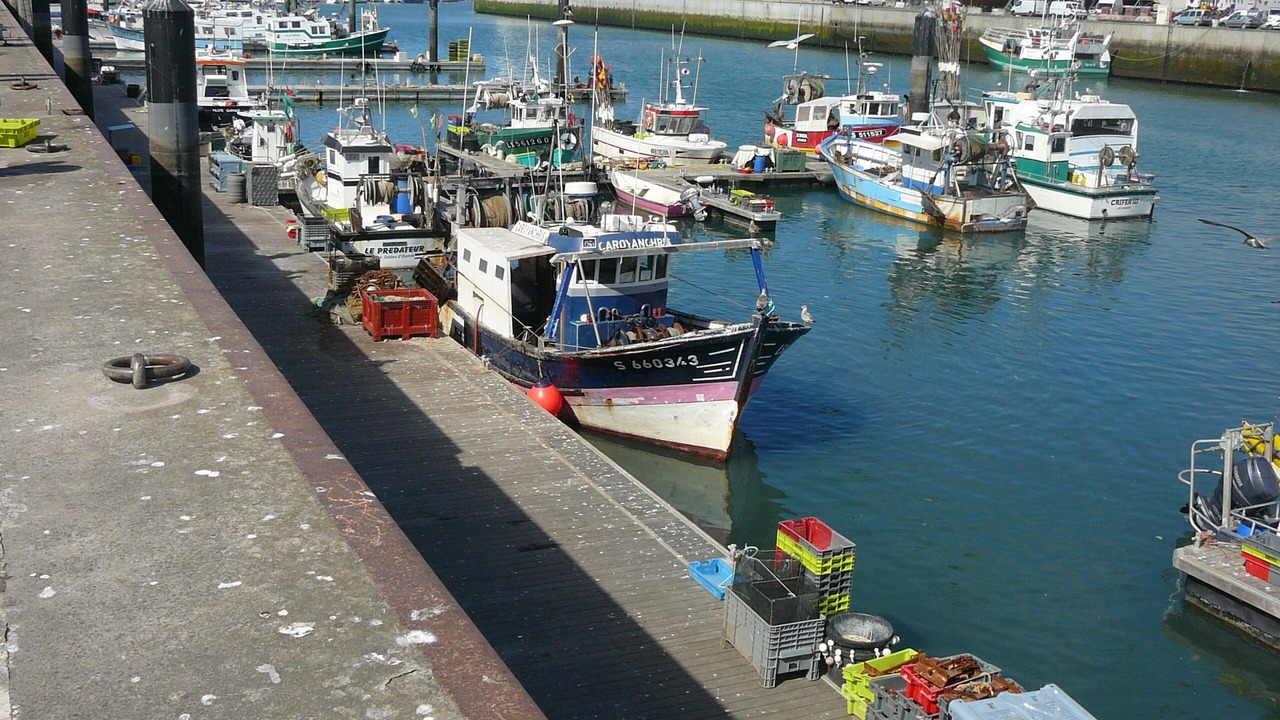 Photo of Others in Les Sables d'Olonne