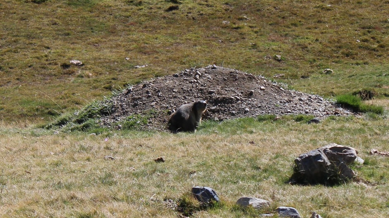 Photo of Outdoor in Vignec