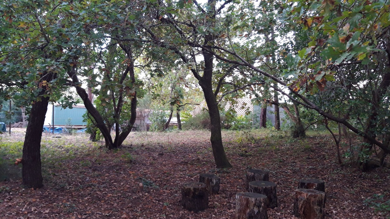 Photo of Outdoor in Cap-Ferret