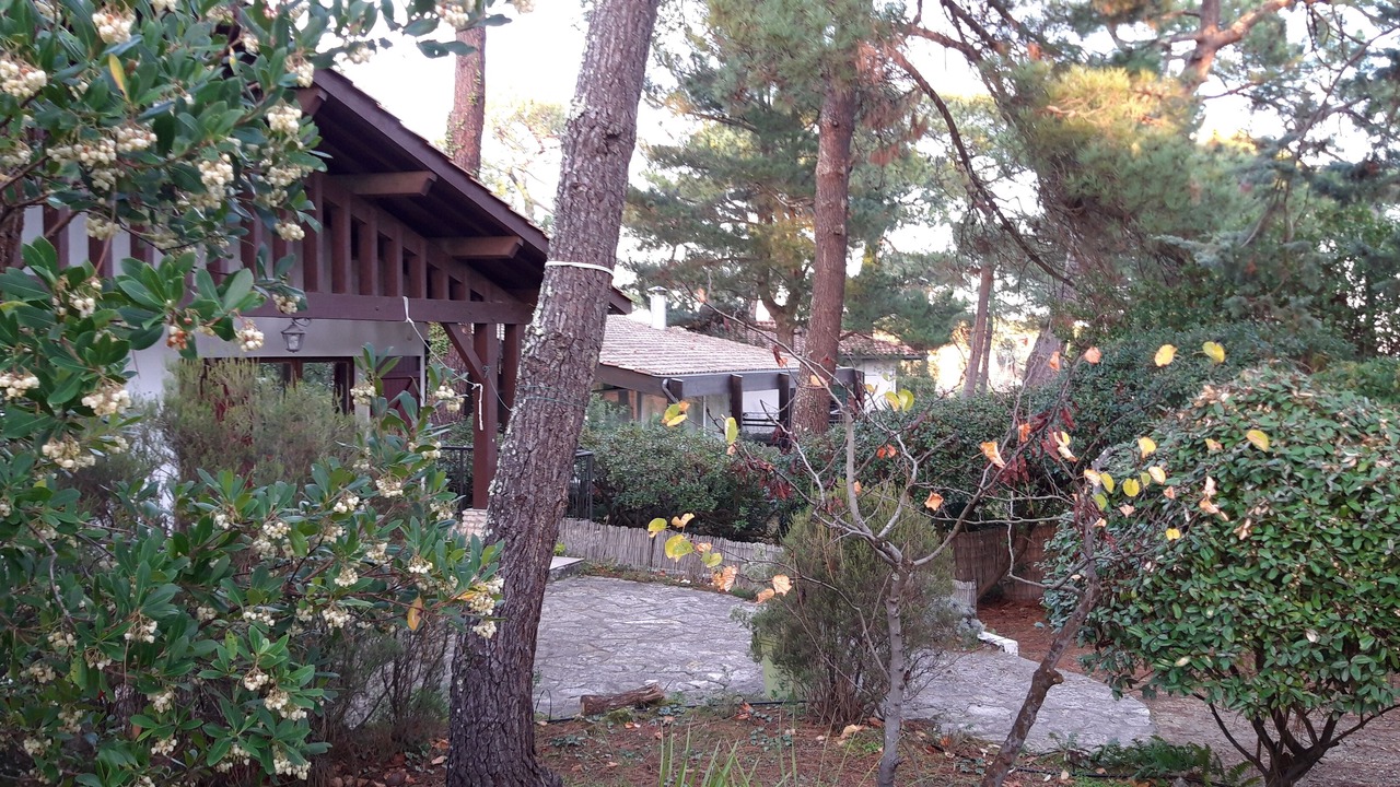 Photo of Outdoor in Cap-Ferret