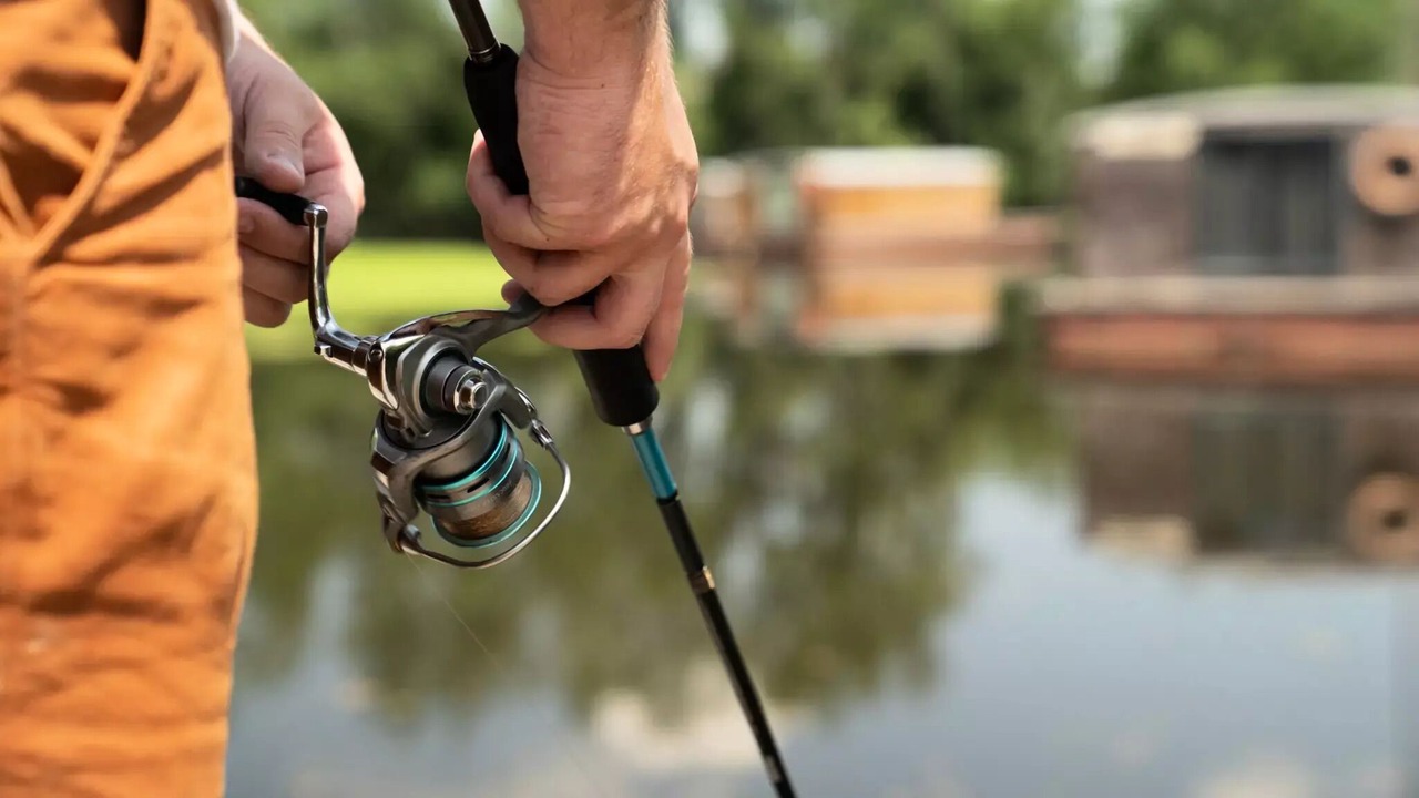 Photo of Others in Molinet