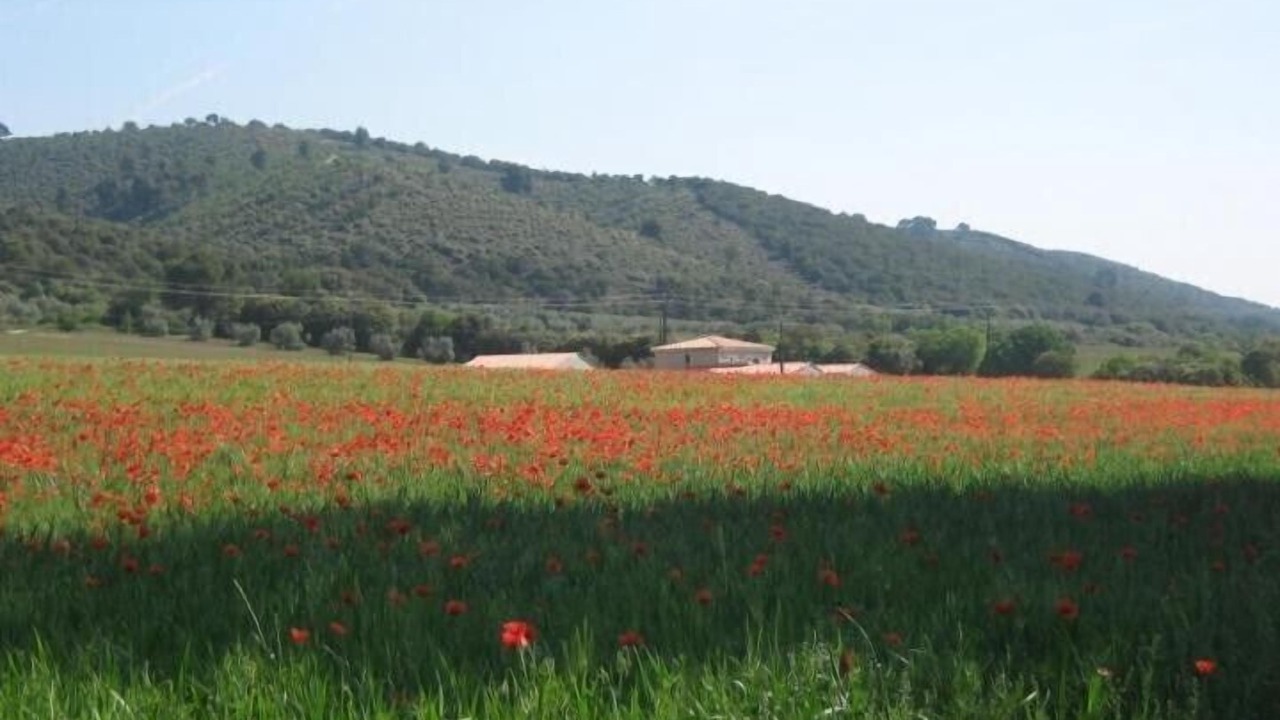 Photo of Outdoor in Oraison