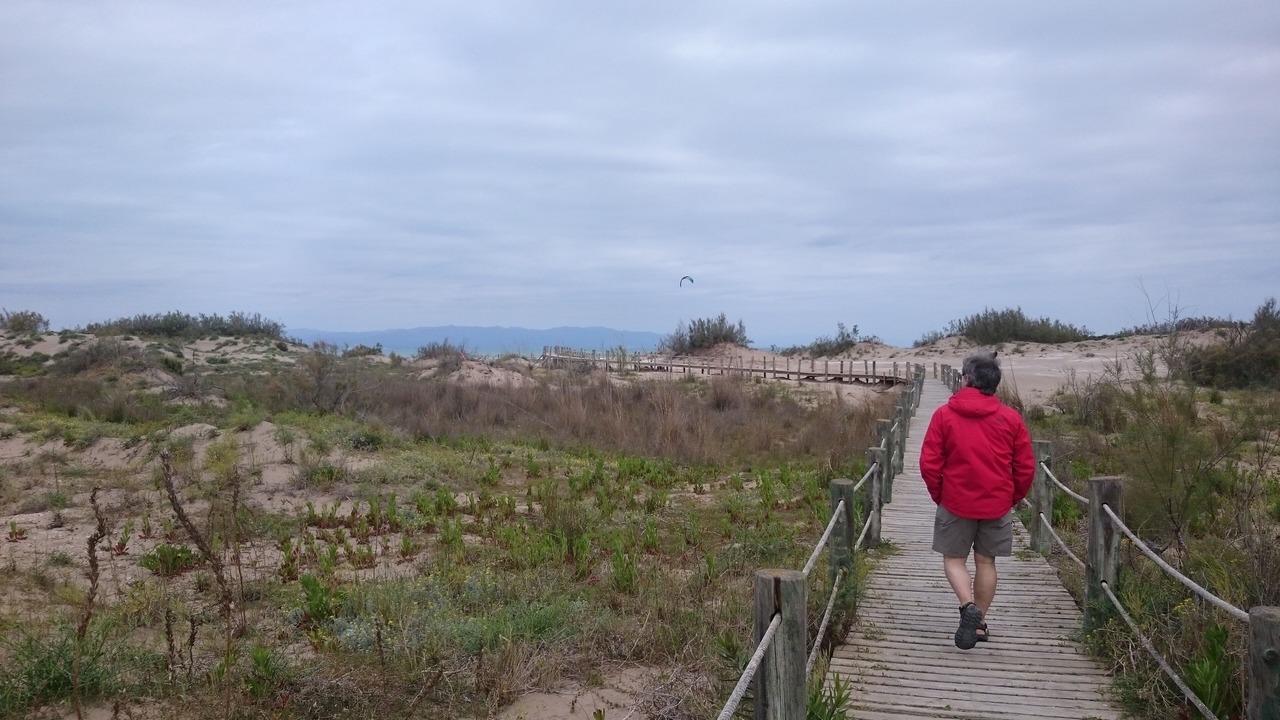 Photo of Outdoor in Cap Roig
