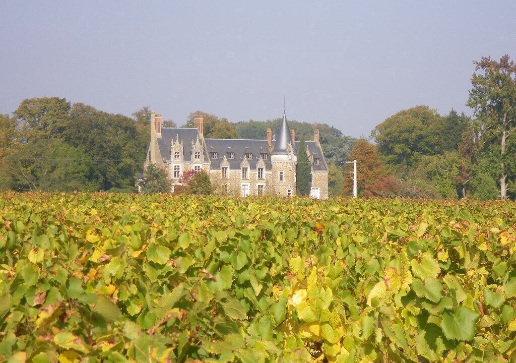 Photo of Outdoor in Carquefou