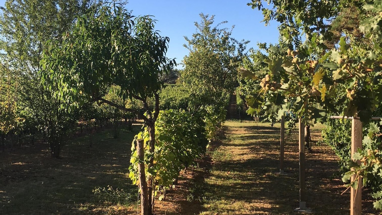 Photo of Outdoor in Saint-Philippe-dAiguille