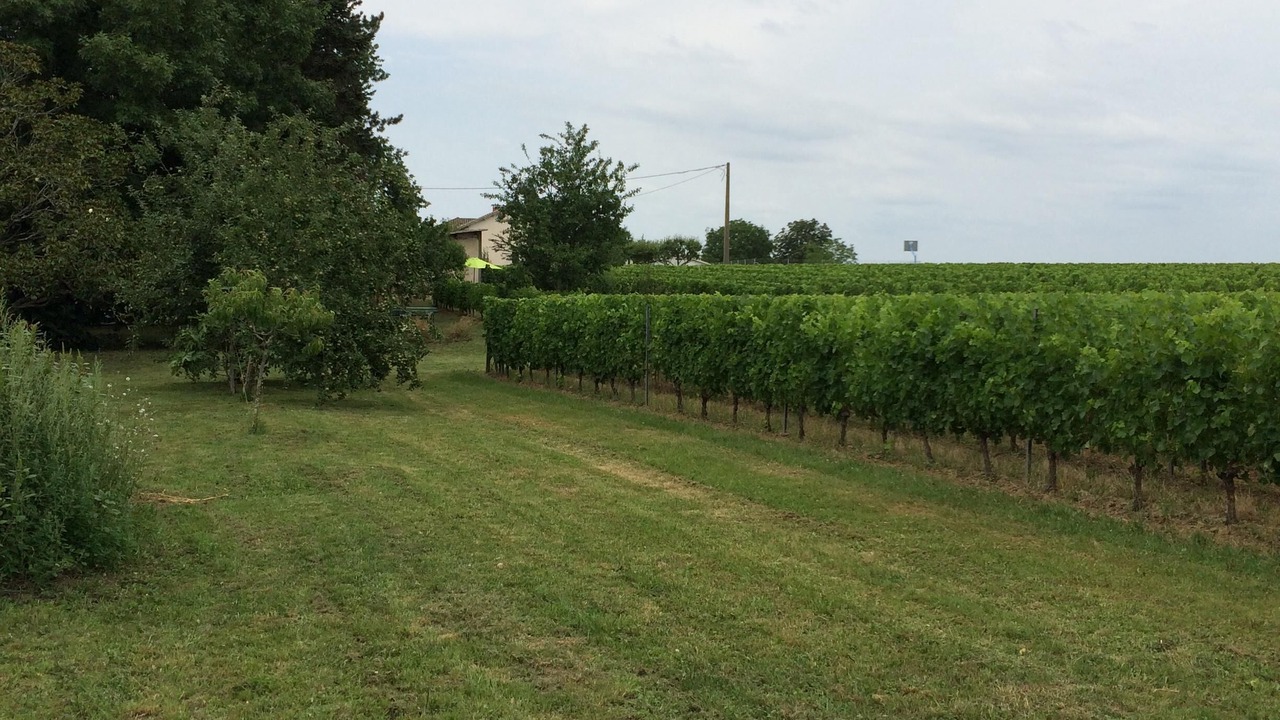 Photo of Outdoor in Saint-Philippe-dAiguille