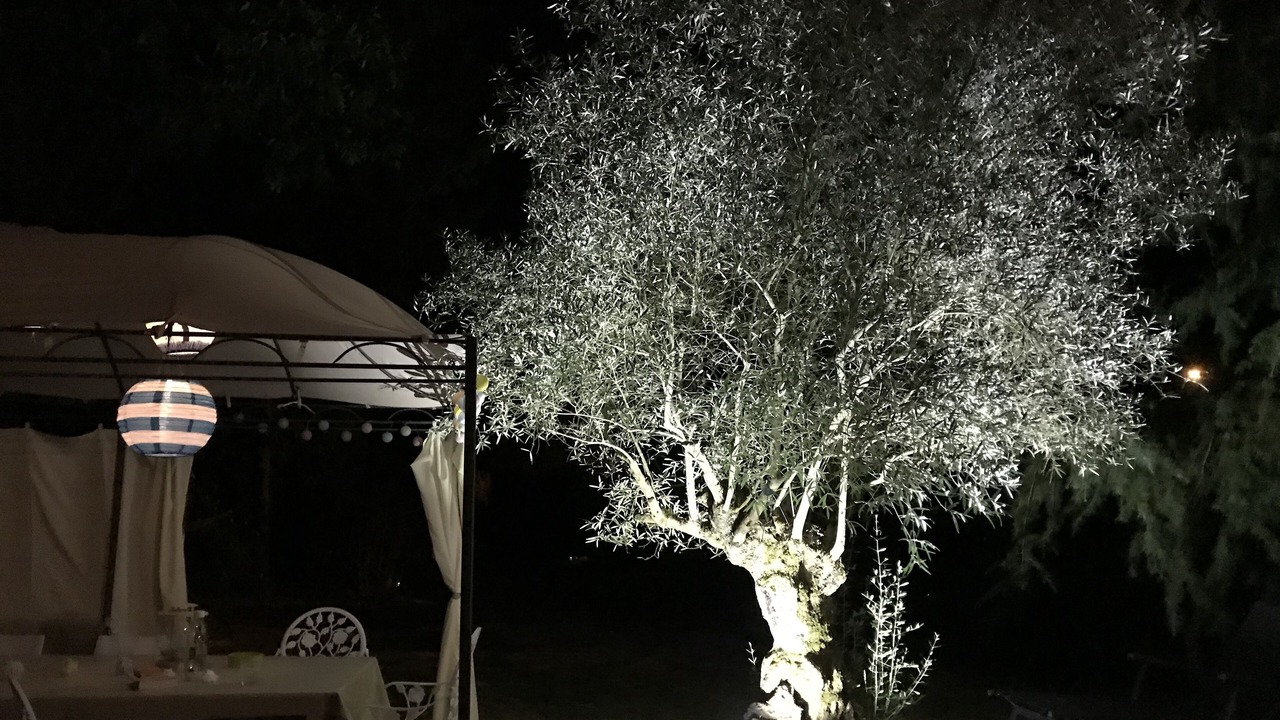 Photo of Outdoor in Saint-Philippe-dAiguille