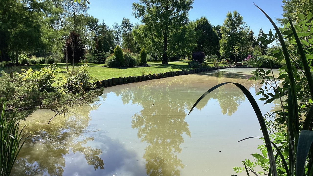Photo of Others in La Ronde
