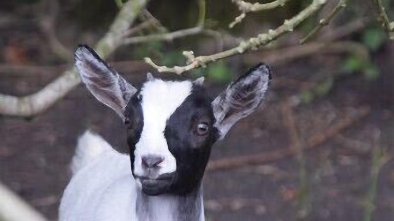 Photo of Outdoor in La Ronde