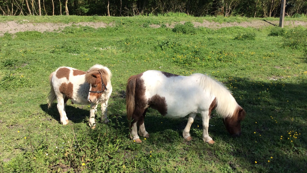 Photo of Outdoor in La Ronde