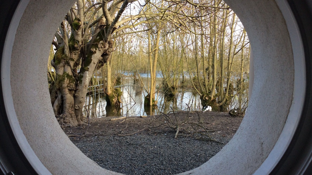 Photo of Others in La Ronde