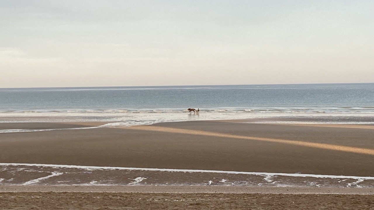 Photo of Others in Cabourg