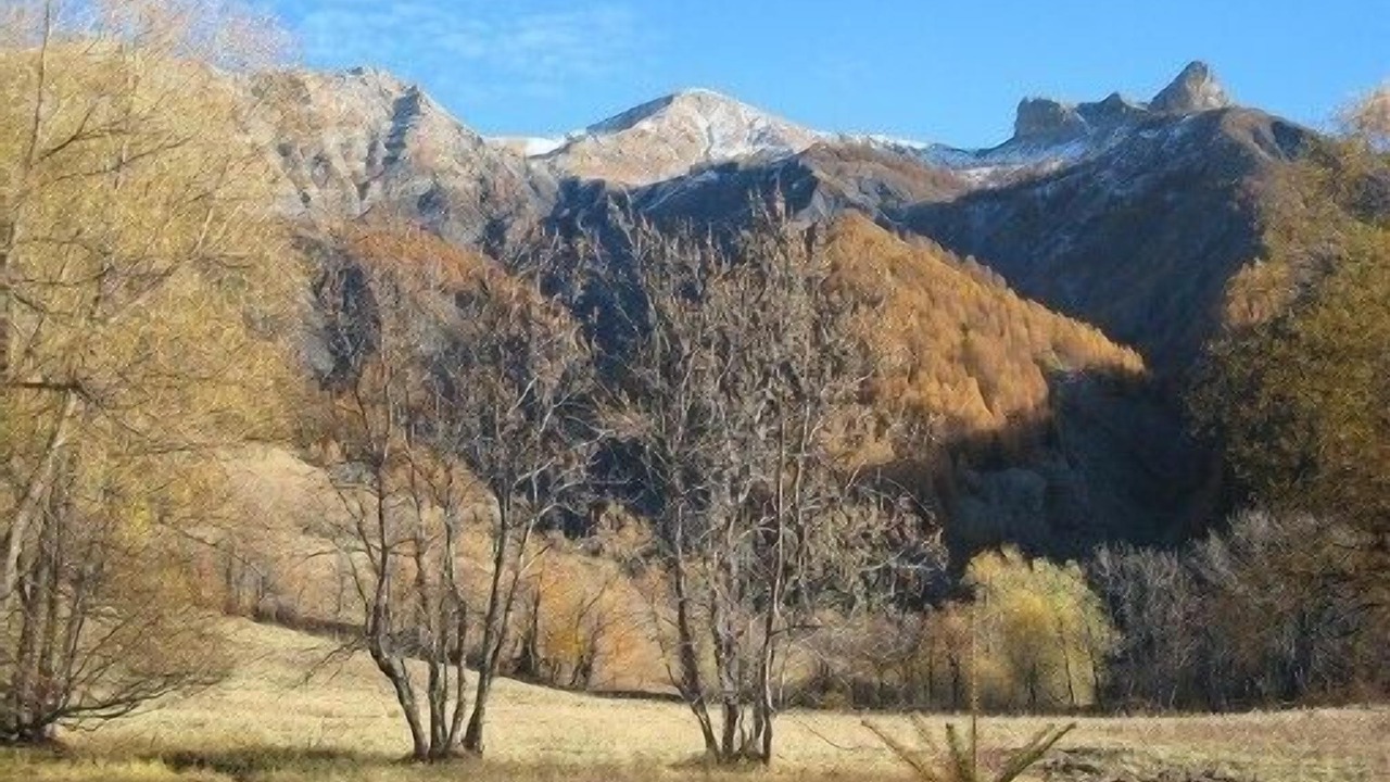 Photo of Others in Allos