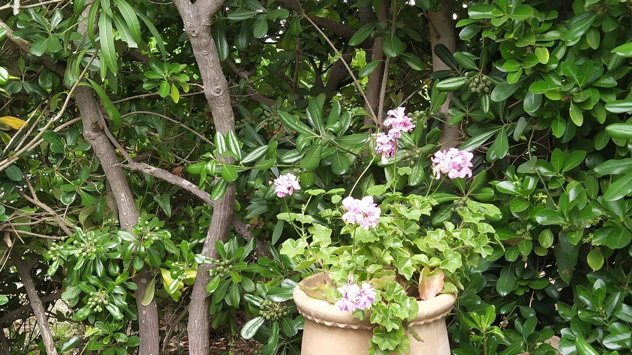 Photo of Outdoor in Giens