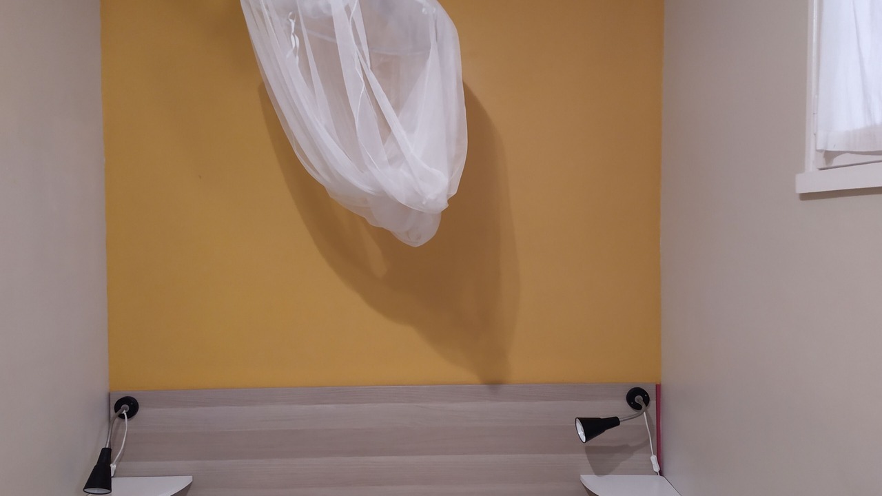 Photo of Others in Giens