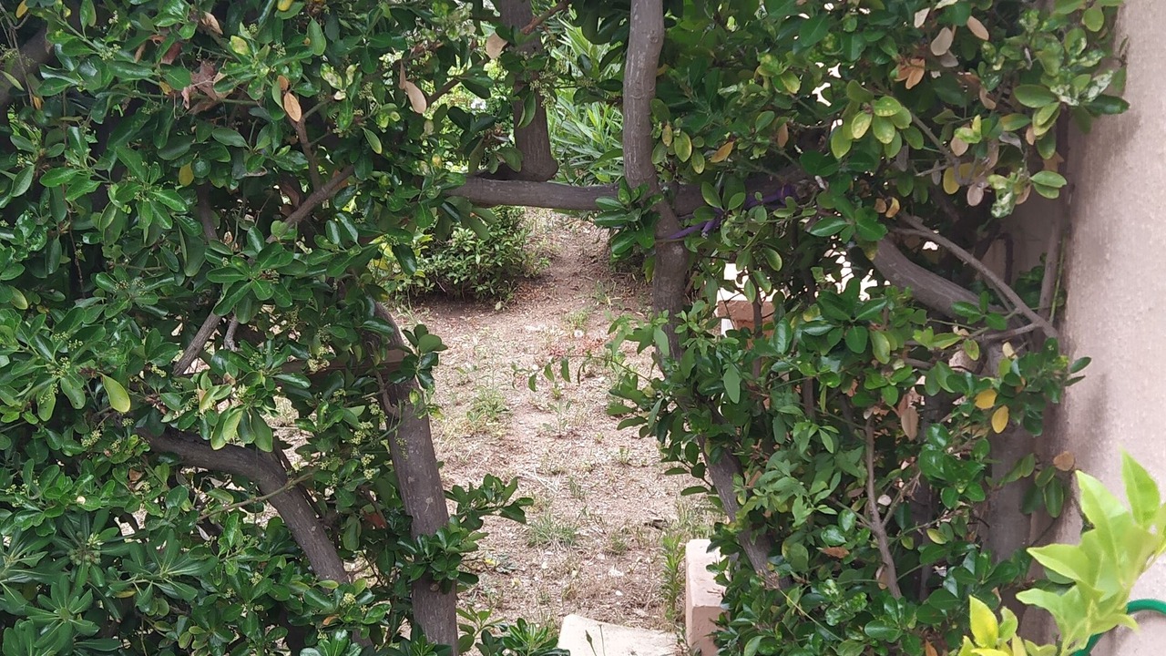 Photo of Outdoor in Giens