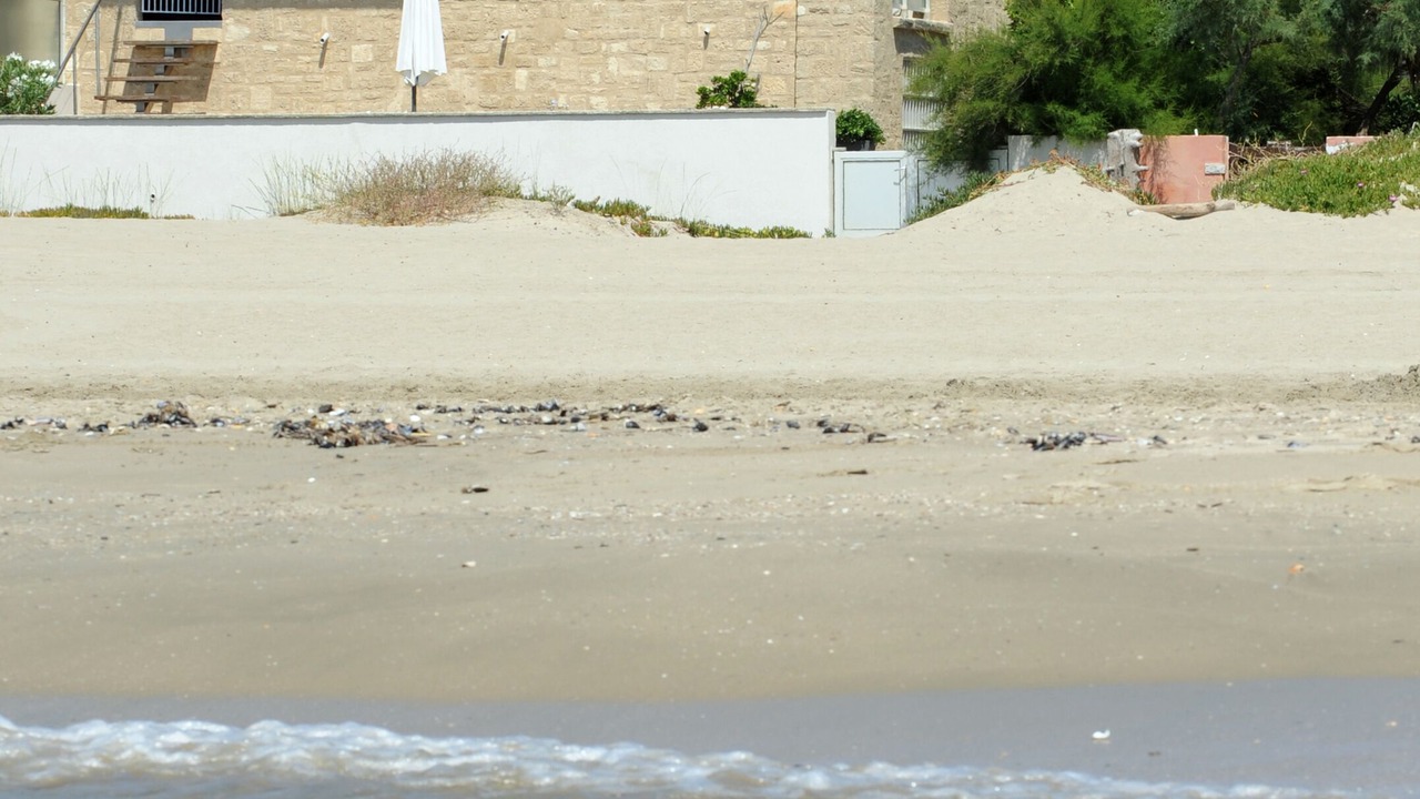 Photo of Outdoor in Palavas-les-Flots