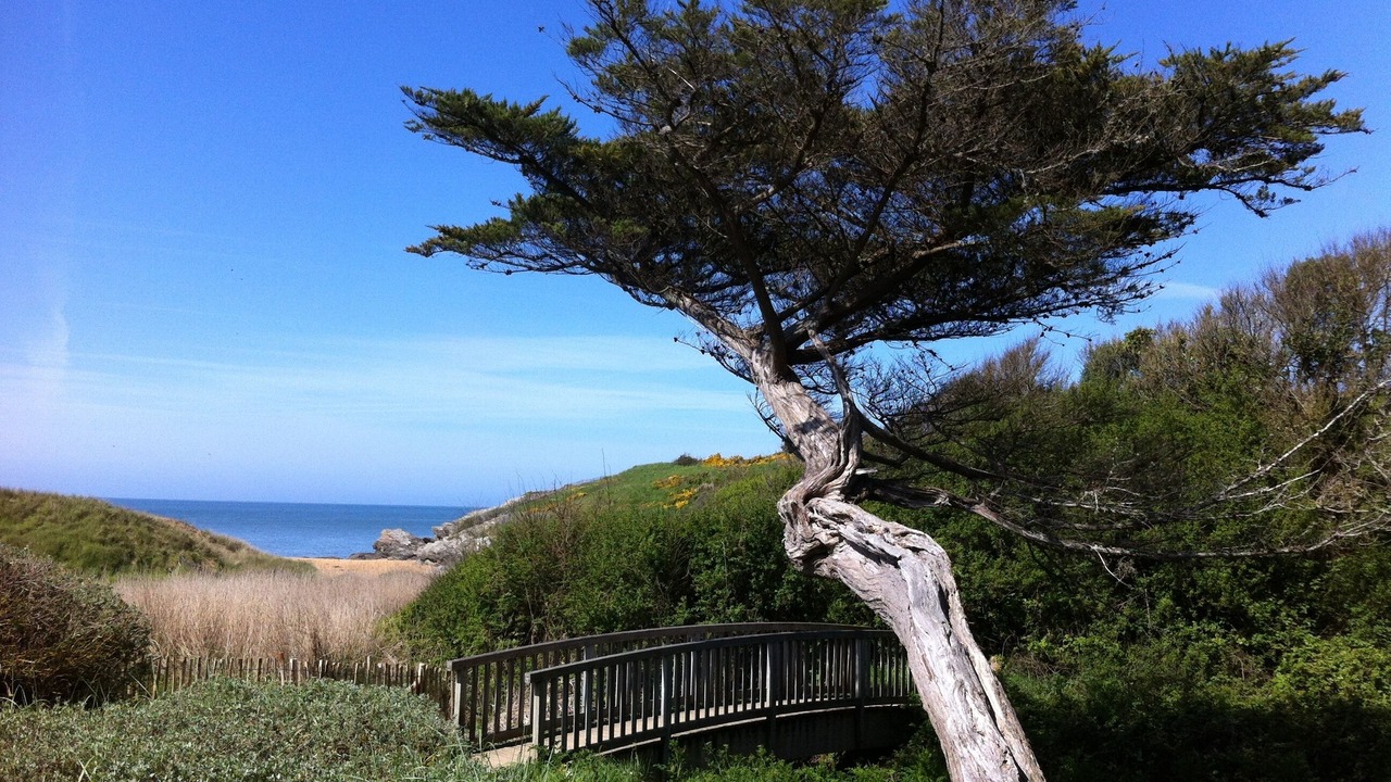 Photo of Outdoor in Pornic