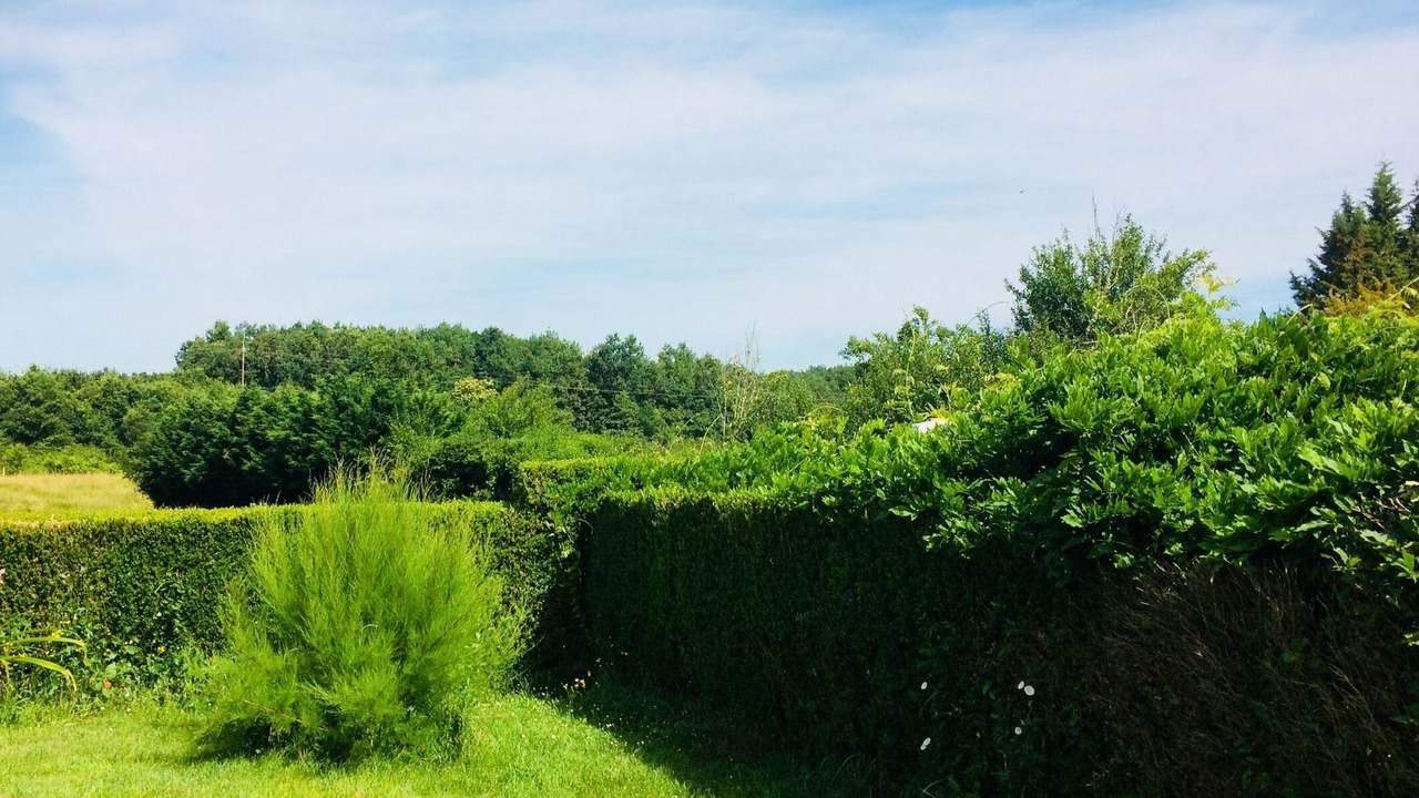 Photo of Outdoor in Saint-Michel-de-Montaigne